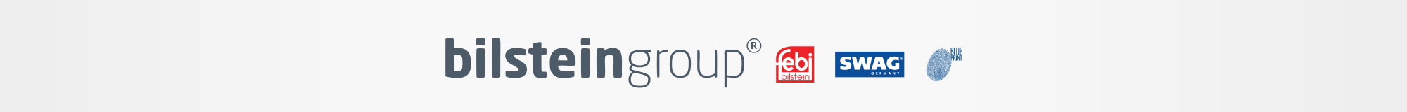 Bilsteingroup