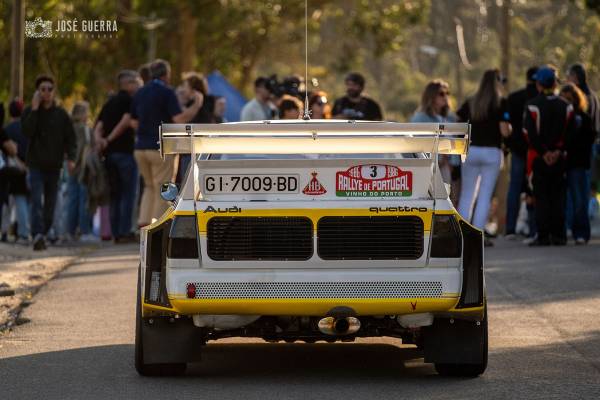 RallyCamelias2026-h85_original